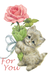 AU NOM DE LA ROSE